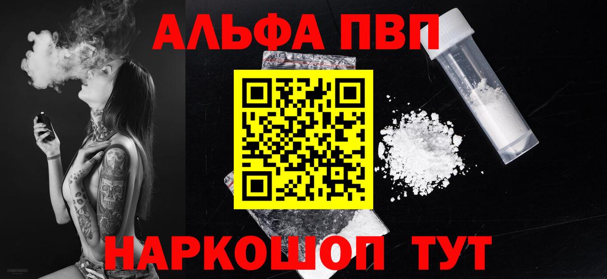 A PVP СК КРИС Белгород