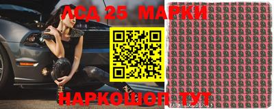 индика Можайск