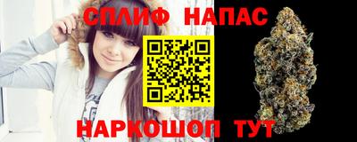 бошки Можга