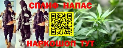 индика Можайск